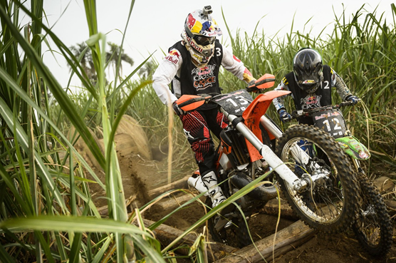 red bull cross choice